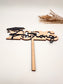 Graduation Cake Topper