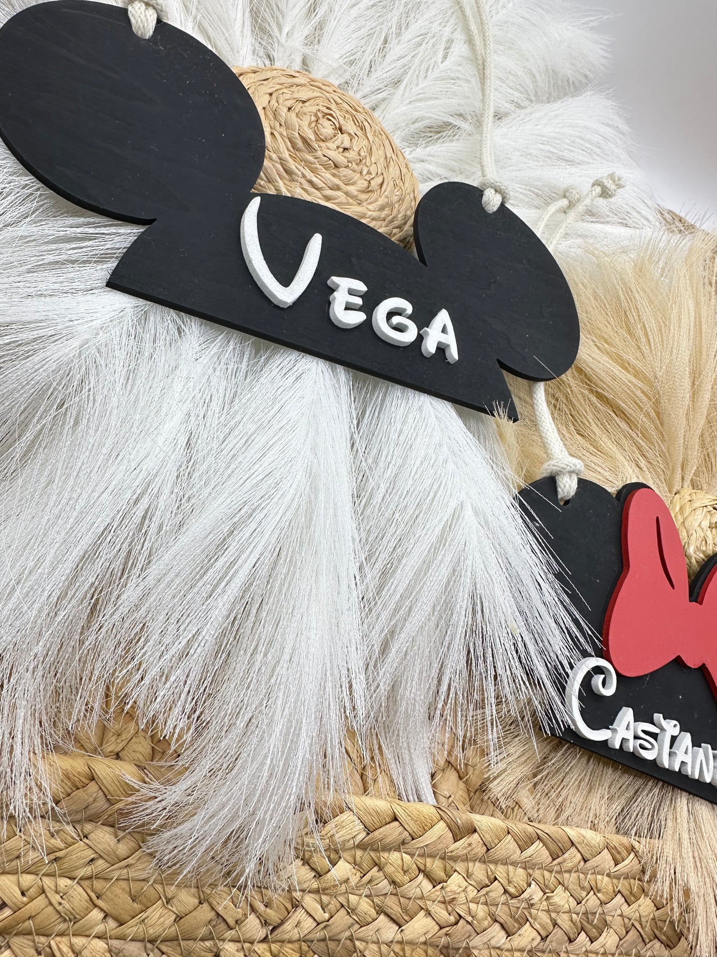 Personalized Mickey & Minnie Stroller Sign