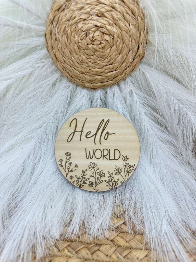 Personalized Baby Milestone Signs