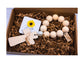 Personalized Wood Bead Decade Rosary: Catholic Prayer Beads, Baptism Gift